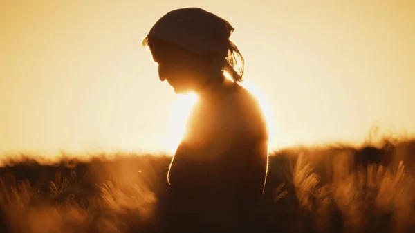 Gün batımında buğday tarlasında yaşlı bir kadının silueti.