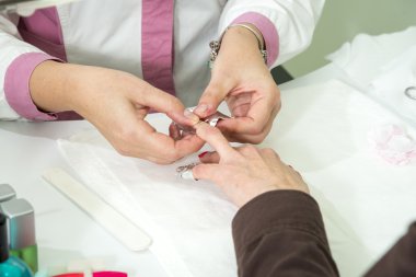 tırnak bakımıarizona'nın çiçek