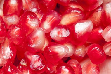 Granat kırmızı, olgun tohum.