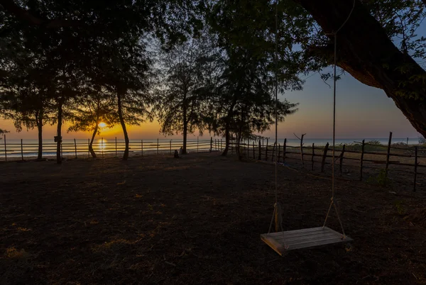 Empty swing hang on the tree near the beach — Stock Photo, Image