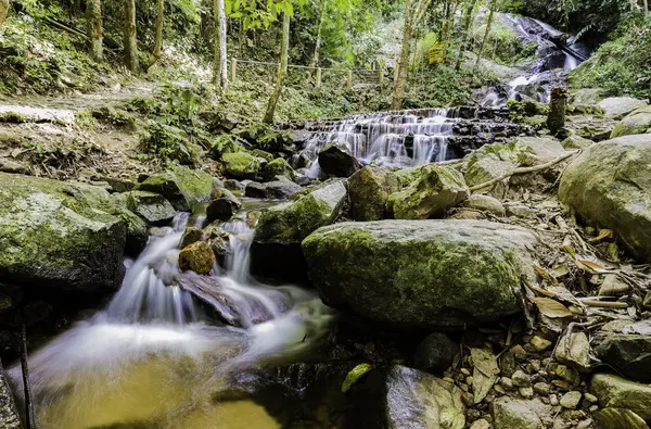森の中の小さな滝 — ストック写真