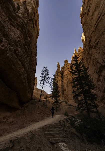 Návštěvník, chůze podél stezky do Bryce Canyon — Stock fotografie