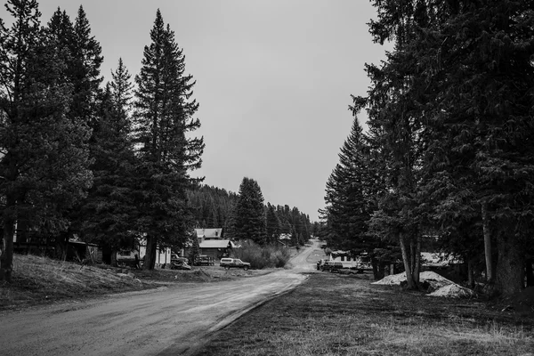 Estrada rural em preto e branco no parque Yellowstone — Fotografia de Stock