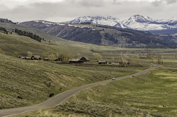 Camino al campo en el Parque Nacional de Yellowstone — Foto de Stock