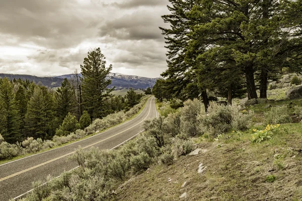 Camino a lo largo de la montaña en el Parque Nacional Yellowstone — Foto de Stock