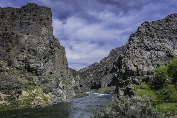Rzeka wzdłuż górskich w Parku Narodowym w Stany Zjednoczone Ameryki — Zdjęcie stockowe