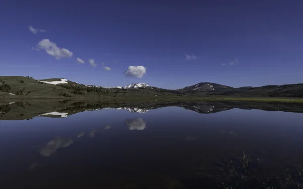Reflejo del agua en el lago de los cisnes en el Parque Nacional Yellowstone — Foto de Stock