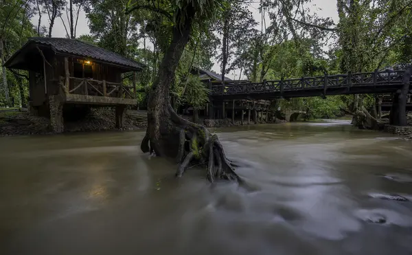 Une rivière douce coule à travers un arbre du village — Photo