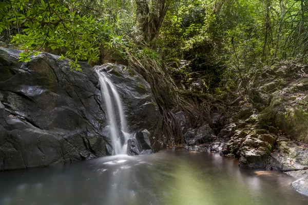 Piccola cascata nella foresta — Foto Stock