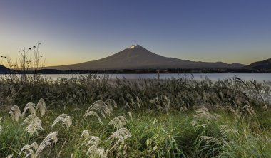 Fujisan dağın arka plan ile ön plan yeşil çimen