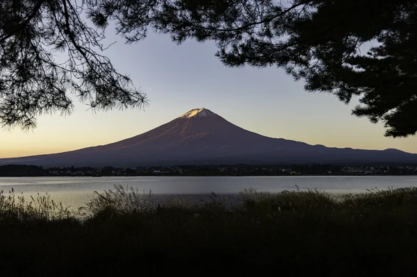 Montaña Fuji con marco de silueta de árbol — Foto de Stock