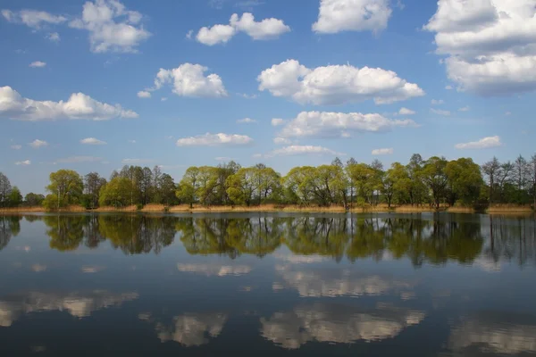 Iosifovsky 연못입니다. 러시아, 모스크바 지역 — 스톡 사진