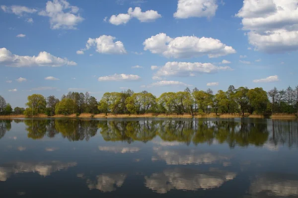 Iosifovsky pond. Russia, Moscow region — Stock Photo, Image