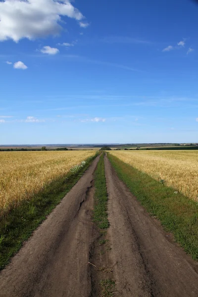 Landweg in Rusland — Stockfoto