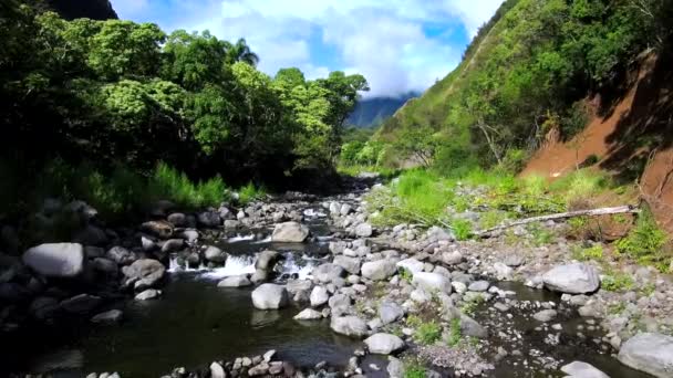 Voando acima do rio da ilha maui — Vídeo de Stock