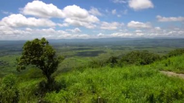 Meksika ormanlarının üzerinde uçuyor
