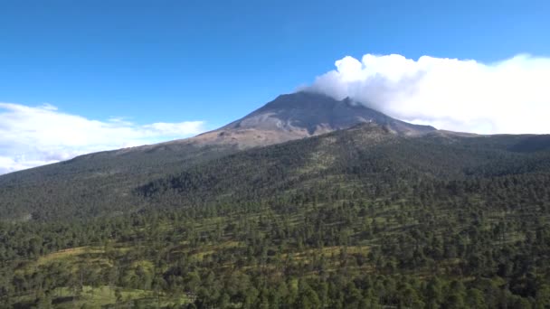 喫煙火山の前でメキシコの森の上を飛ぶ — ストック動画