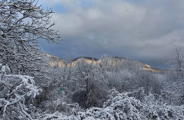 Penisola Crimea Prima Neve Cadde Nella Crimea Montagnosa — Foto Stock