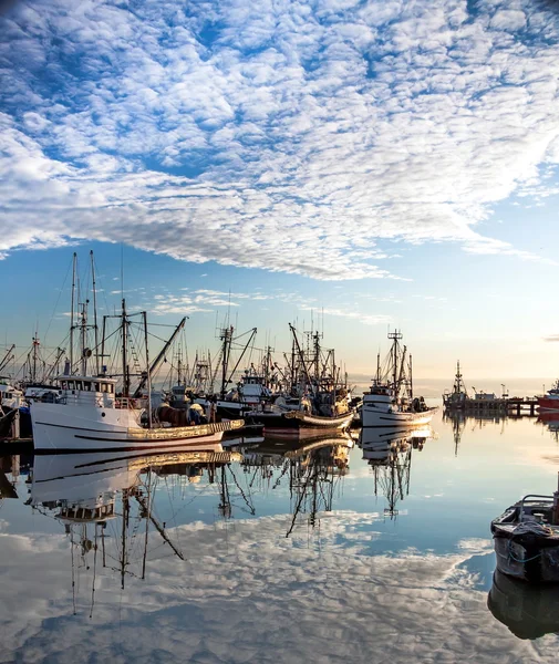 Fiskebåtar i Marina. — Stockfoto