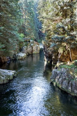 Capilano River Canyon