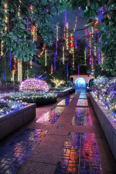 Kerst illuminations in het Park — Stockfoto