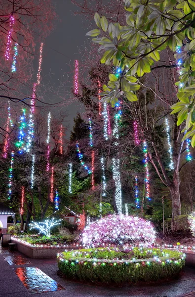 Iluminacje w parku — Zdjęcie stockowe