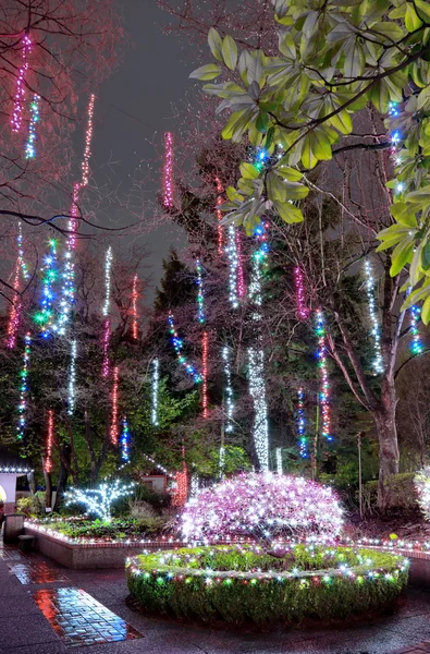 Illuminazioni natalizie nel Parco Fotografia Stock