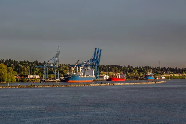 Drei Schiffe Hafen Von Surrey City Fraser River Einem Sonnigen — Stockfoto
