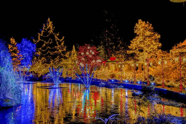 圣诞灯火通明的夜晚 池塘边的树上 水面上美丽的灯火通明的倒影 — 图库照片