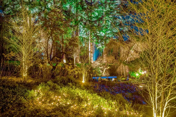 Fantasia Natal Uma Seção Floresta Parque Iluminada Com Luzes Coloridas — Fotografia de Stock