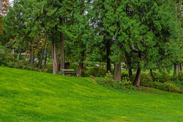 Resting place at Panorama Park in Deep Cove North Vancouver City. A bench is located under a canopy of coniferous trees on a slope of a green lawn, British Columbia, Canada