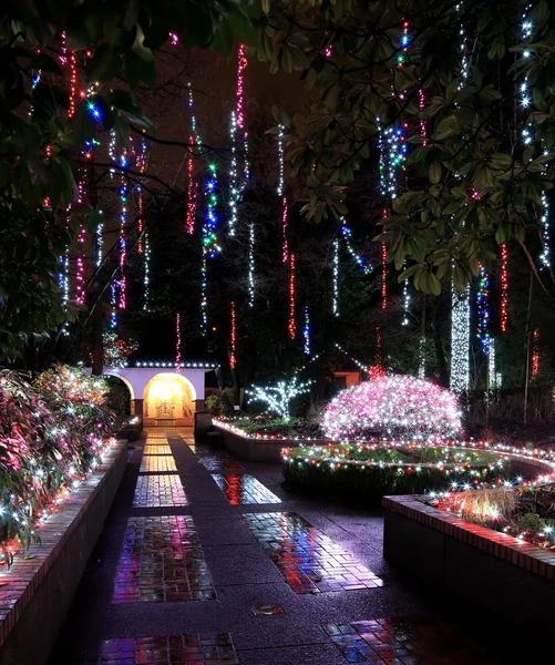 Kerst verlichting In het Park — Stockfoto