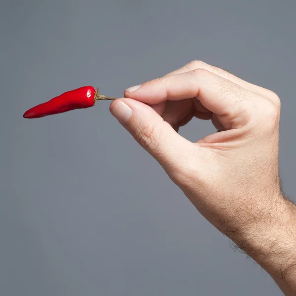 Mão Segurando Pimenta Pimentão Quente Vermelha — Fotografia de Stock