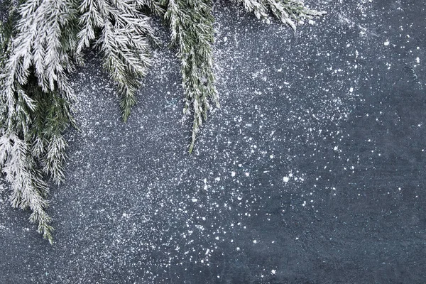 Flacher Winterhintergrund Fichtenzweige Schnee — Stockfoto