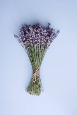 Üst manzara lavanta çiçekleri mavi arka plan dikey fotoğrafında bir demet