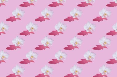 Pembe arka planda sert gölgeli beyaz orkide deseni