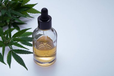İçinde CBD kenevir yağı olan cam damlalık şişesinin yanındaki tıbbi kenevir yaprakları. Tıbbi esrar kavramı