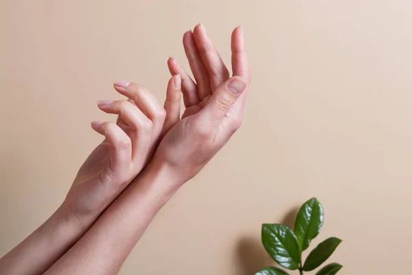Hermosas manos femeninas sobre un fondo beige con hojas verdes — Foto de Stock