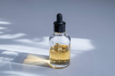 Moda gözlüklü cam damlalar. Vücut ve kaplıca tedavileri. Yağlı kozmetik ürünleri, eko krem, serum, cilt bakımı için boş şişe. Şişede bir pipetle selülit önleyici masaj yağı.