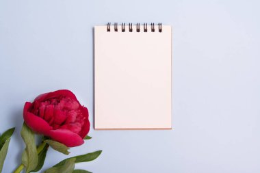 Boş not defteri kağıdı ve kırmızı şakayık bezi mavi arka planda yatıyordu. Meta için meta ile yaz konsepti