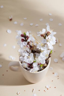 Masanın üzerinde yapraklarla dolu bir fincanda dallar açıyor. Bahar çayı ya da kahve konsepti