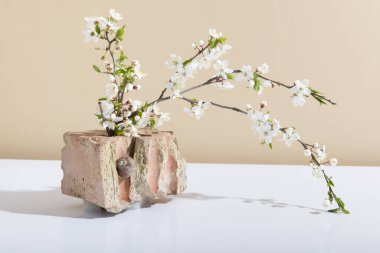 Salyangoz ve çiçek açan dalları olan bir tuğla parçası. Sert gölgelerle dolu yaratıcı bir bahar.