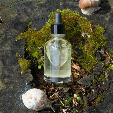Cam damlatan şişe üst görünümü doğal arka planda yosun ve salyangoz ile
