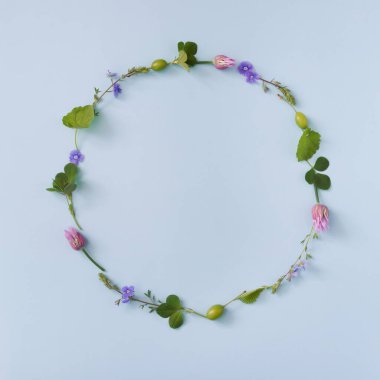 Mavi arka planda fotokopi alanı olan yuvarlak bir çerçeve. Yaz ya da bahar çiçekli arka plan