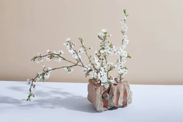 Fragmento Tijolo Com Caracol Ramos Floridos Verão Criativo Primavera Ainda — Fotografia de Stock