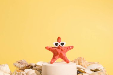 Güneş gözlüklü denizyıldızı sarı arka planda deniz kabukları arasında bir kaide üzerinde. Yaratıcı yaz konsepti