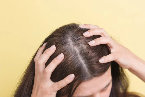 The woman shows gray hair on her head. Hair with fragments of gray hair requiring coloring on a yellow background