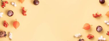 Felsefe, koni, yaprak ve Rowan ile sonbahar yerleşimi. Sonbaharın düz desenli hediyeleri sarı arka planda pankart şeklinde seriliyordu. Boşluğu kopyala