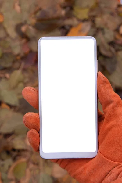 Mock-up phone in hand in an orange glove against the background of autumn fallen leaves