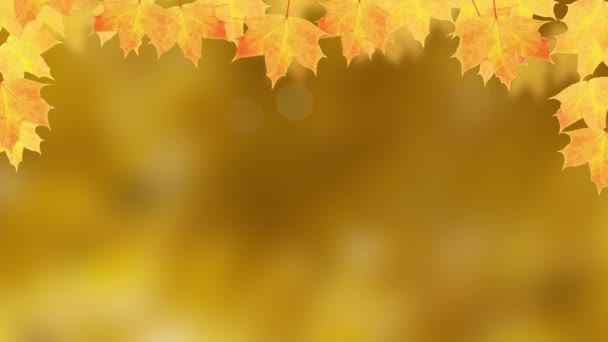 Autumn Leaf Fall Maple Leaves Text Hello Autumn Nature Background — Stock Video